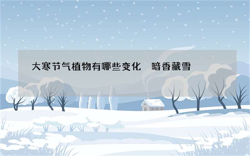 大寒节气植物有哪些变化 暗香藏雪